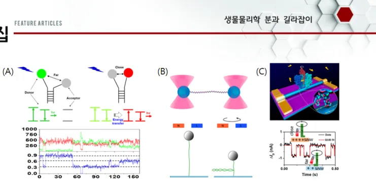 Fig.  1.  Single-molecule  technique  that  were  early  developed.  (A)  Optical  method:  single-molecule  FRET  (smFRET)