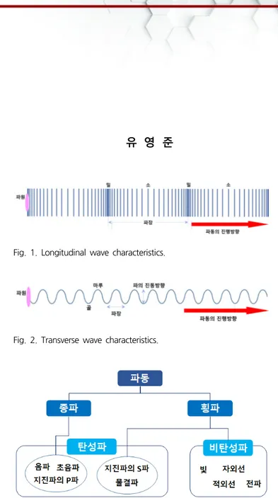 Fig.  2.  Transverse  wave  characteristics.
