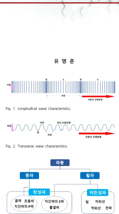 Fig.  2.  Transverse  wave  characteristics.