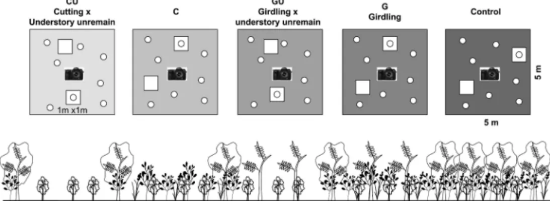 Figure 1. Schematic diagram for experimental canopy gap treatment block in Black locust stand