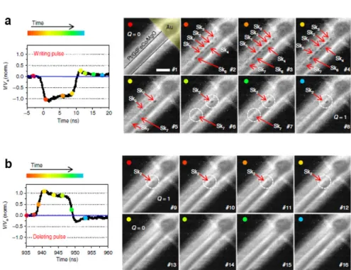 Fig.  5.  Current  pulse  induced  skyrmion  writing  and  deleting. [14] 온  홀  효과가  확연히  줄어드는  것을  알  수  있다(그림  4d)