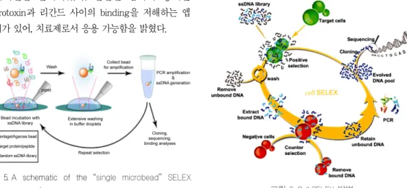 그림 5. A  schematic  of  the  “ single  microbead” SELEX