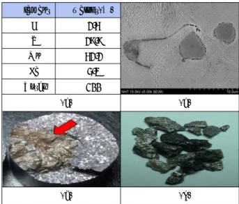 그림 3. (a) Result of EDAX. (b) Non melted Ferro Mn at  the cross section. (c) Non melted Ferro Mn at fracture  suface