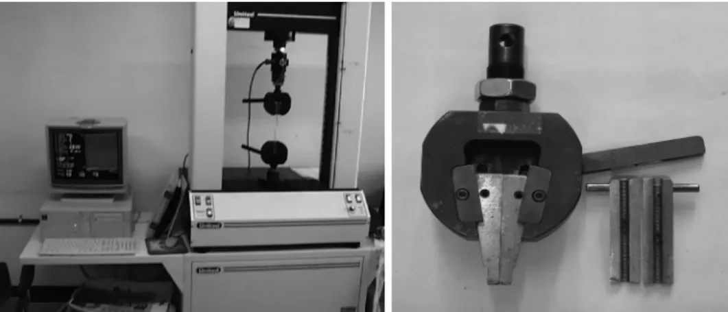Figure 2. Universal testing machine and fixing zig for measuring tree root strength.
