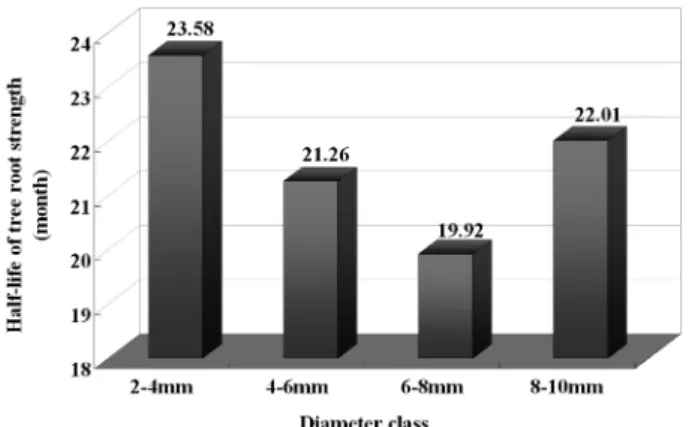 Figure 10. Half-life time of root tensile strength by diameter classes.