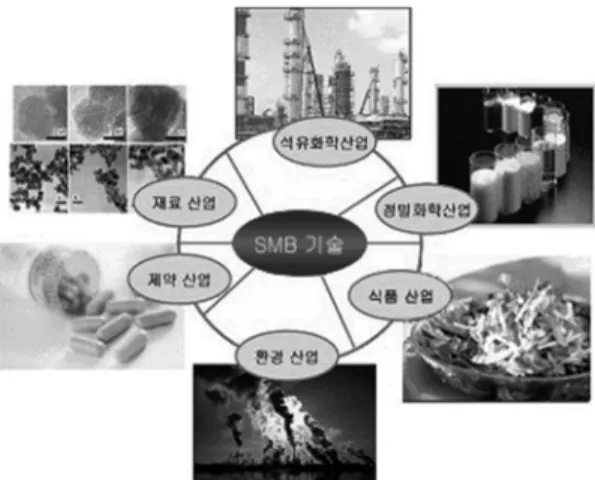 Figure 1. SMB 공정의 적용 가능 분야. 수  있듯이  SMB공정의  응용  범위를  산업  전 반에 걸쳐 확대시키고 있다. 석유화학, 정밀화 학, 식품, 환경, 재료, 제약 등 거의 모든 산업 으로의 크로마토그래피 기술을 기반으로 하는  SMB공정의  적용이  가능하며,  특히  가장  큰  기대를  갖고  활발하게  적용되고  있는  분야는  키랄 제품들의 분리이다