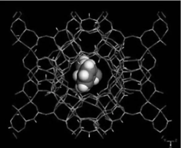 Figure 2. The lowest-energy configuration of  the (S)-valinol complex in zeolite H-Y.