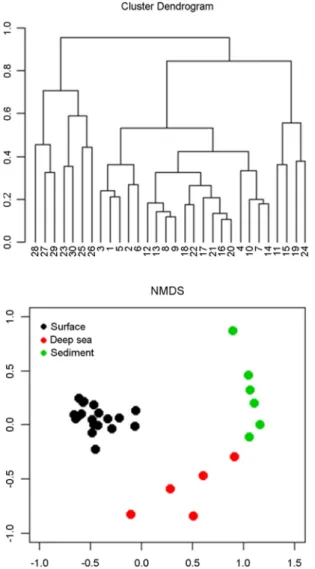 Table 1. Indicator species analysis on the seawater and sediment  samples  showing  the  representative  OTUs  for  each  group  ( p