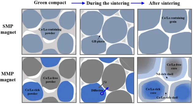 Fig.  3.  Schematic  illustrations  of  the  interaction  between  adjacent  grains  in  MMP  magnet