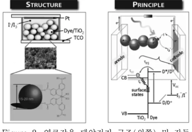 Figure 1. 유기분자 태양전지의 엑시톤 형성, 전하 분리 및 포집 과정.   따라서 본 고에서는 유기태양전지의 연구개 발 동향에 대하여, 특히 최근 산학연의 관심이  모아지고 있는 염료감응형 태양전지의 기술개 발 동향을 중점적으로 고찰하였다