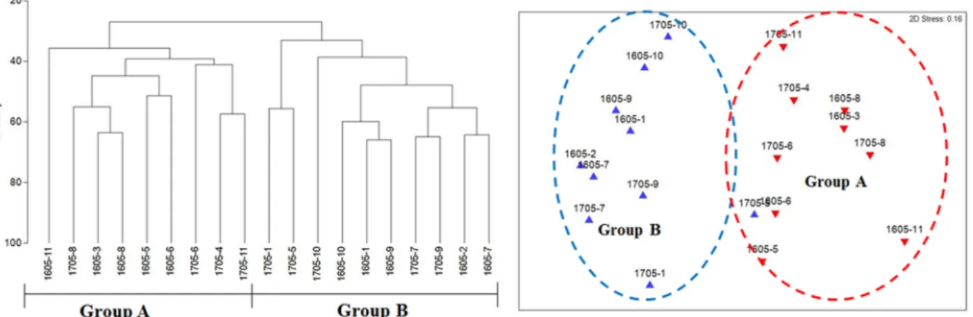 Table 2. The characteristic species of each site group in the Shinja-do tidal flat and their contributions from the SIMPER analysis Species  Av.Abu  Av.Sim  Sim/SD  Cont %  Cum % 
