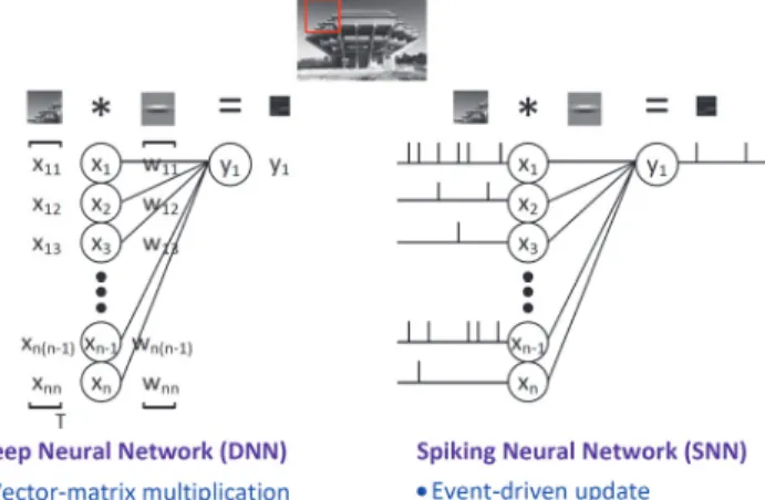 Fig. 2. Comparison of deep neural network (DNN) and spiking neural network  (SNN).