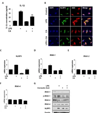 Fig. 1. Effect of CA on mice subjected to cecal ligation and  puncture (CLP) surgery and inflammasome assembly