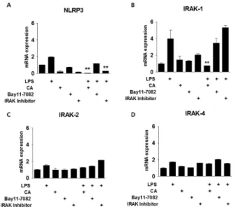 Fig. 4. Effect of CA on LPS-mediated inflammation. (A-B) Effect of  CA as an anti-inflammatory drug