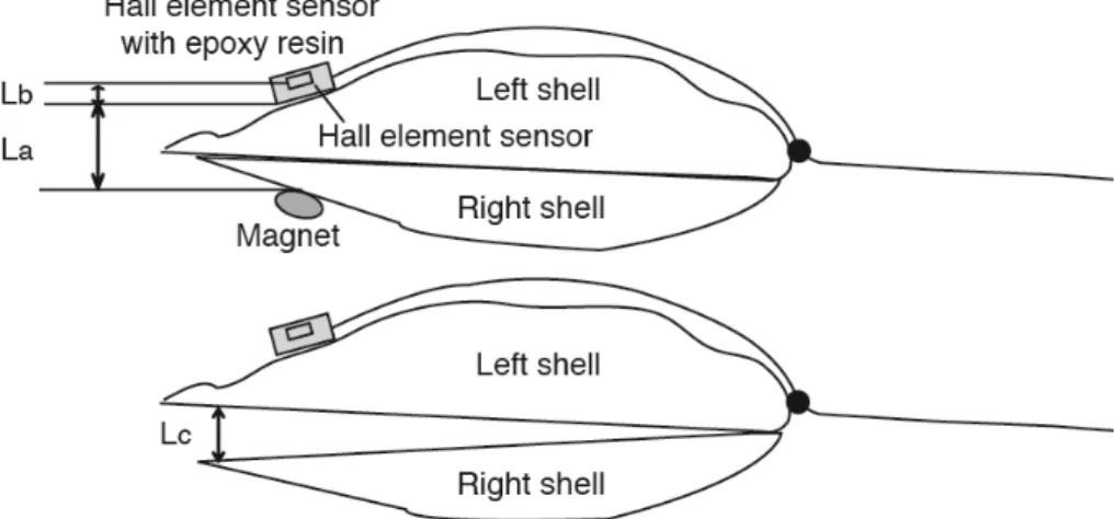 Fig. 2. Relationship between the output voltage of the Hall element sensor and the distance from the Hall element sensor on the left valve to the magnet on the right valve