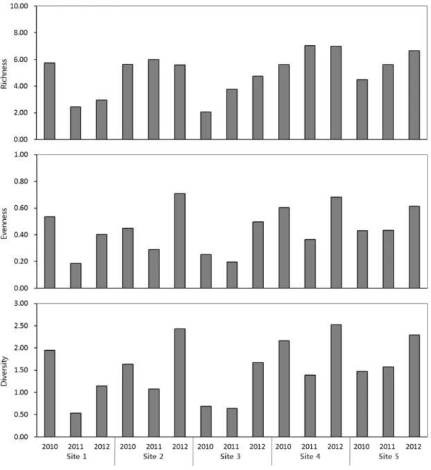 Fig. 6. Variations of ecological indices (richness, diversity and evenness) at study sites