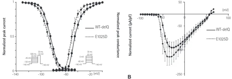 Fig. 3. Gating kinetics of WT and mutant E1025D sodium channels at 25°C in HEK293 cells