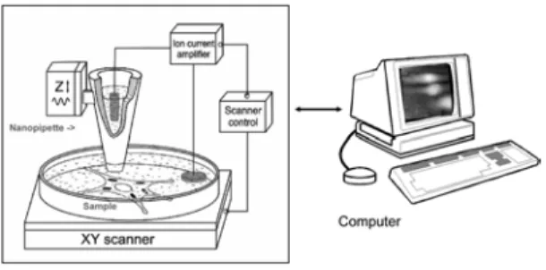 Figure 3. SICM.