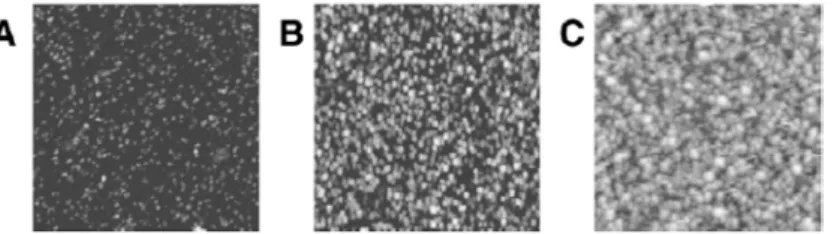 Figure 8. 면역글로블린G(Ing)의 신호증폭에 대한 AFM 이미지(1 µm ×  1 µm) (a: 은 증강용액에서 노 출하기 전 금 코팅, b: 은 증강용액에서 10 min 노출 한 금 코팅 표면, c: 은 증강용액에서 30 min 노출한  금 코팅 표면)