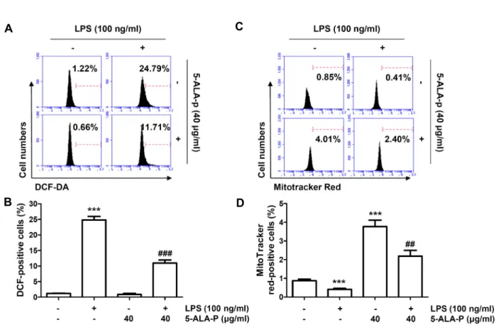 Fig.  2.  Inhibition  of  ROS  generation  and  increase  of  mitochondrial  biogenesis  by  5-ALA-p  in  LPS-treated  RAW  264.7  cells