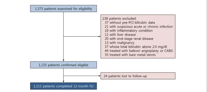 Figure 1.    Flowchart of patient selection. CABG, coronary artery bypass graft; PCI, percutaneous coronary intervention.