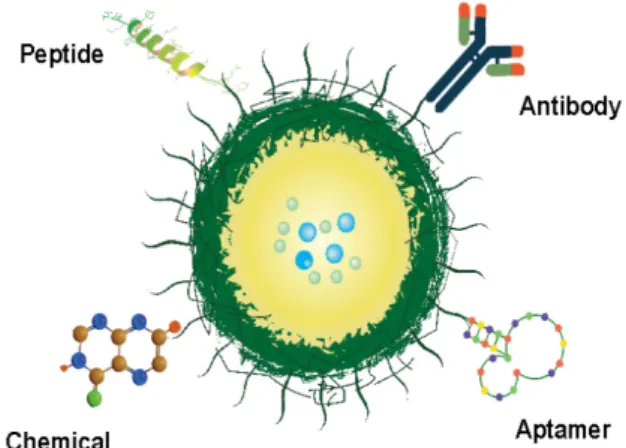 Fig.  3.  Schematic  representation  of  PLGA  nanoparticles  for  ac- ac-tive  targeting.