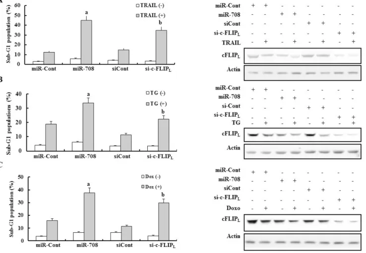 Figure 5: Downregulation of c-FLIP L  mediated by si-cFLIP L  enhanced sensitivity to various apoptotic stimuli