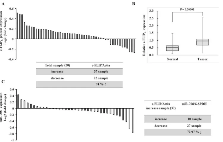 Figure 8: Expression of c-FLIP was inversely correlated with miR-708 expression in renal cancer tissues