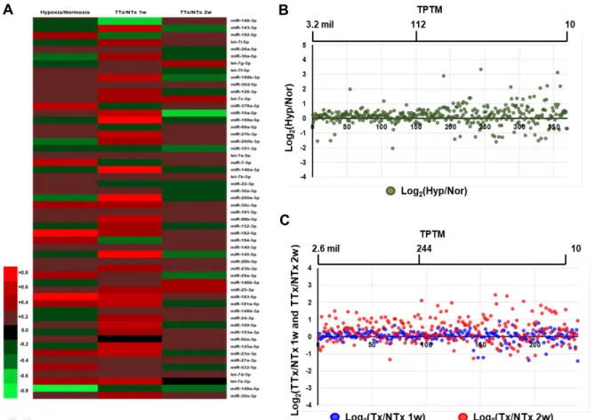 Fig.  1.  MiroRNA  expression  profiling  of  migrated  PD-MSCs  under  hypoxic  condition  and  in  BDL-injured  rat  liver