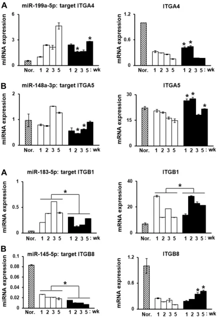 Fig.  3.  MiRNAs  induced  by  PD-MSCs  regulate  in- in-tegrin  α subunits  in  BDL-injured  rat  liver