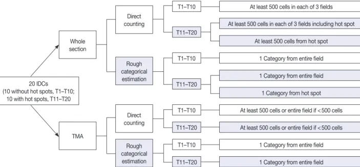 Fig. 2. A schematic diagram of study design and counting methods. Twenty cases of invasive ductal carcinoma (IDC) were prepared in two  platforms-whole sections and a tissue microarray (TMA), and then digitally scanned for analysis in online system