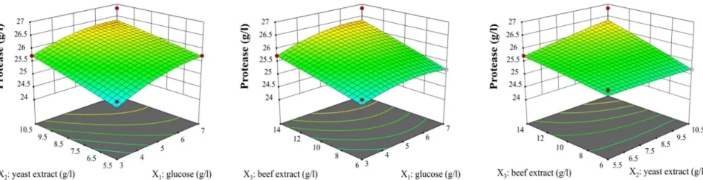 Fig.  6.  Comparison  of  protease  production  in  different  media,  LB  (unoptimized  medium)  as  well  as  comparing  the  model  to  experimental  value
