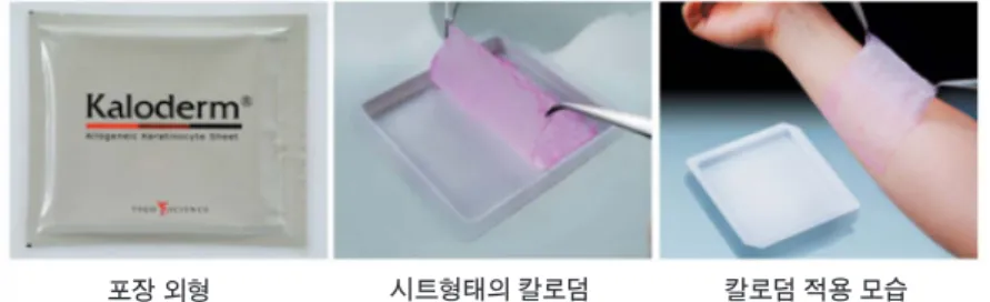 표 1. 칼로덤의 분비물질