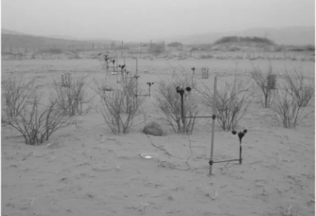 Figure 5. Measuring instruments of sand collection.