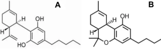Fig.  1.  Structure  of  (A)  cannabidiol  (CBD)  and  (B)  tetrahy- tetrahy-drocannabinol  (THC),  as  representative  compounds  of  the  cannabinoids  in  Cannabis  sativa  L 