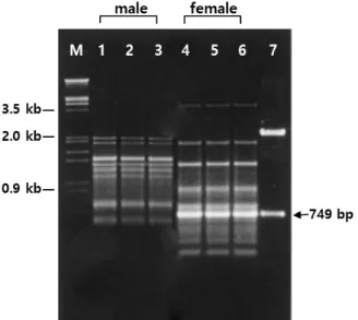 Fig.  2.  Southern  hybridization  of  male  and  female  plants  DNA  with  a  female  specific  probe