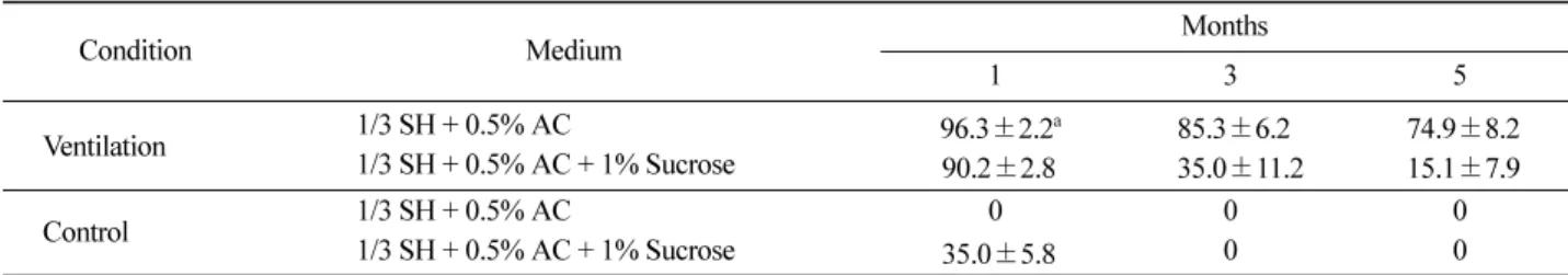 Table 1. Effect of sucrose and ventilation on the survival of soil transferred plantlets of wild  Panax ginseng  for 5 months of culture.