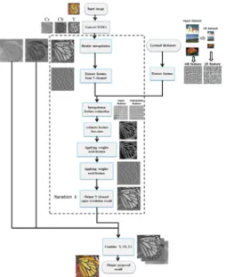 Fig.  3.  Flowchart  of  proposed  super  resolution  image  generation