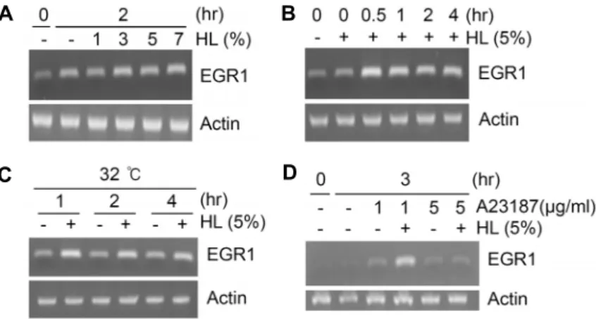 Fig.  2.  EGR1  gene  expression  by  different  conditions  of  A.  dichotoma  hemolymph  in  the  INS-1   pan-creatic  β-cells
