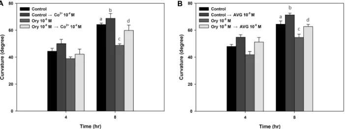 Fig.  5.  Effect  of  cobalt  ions  (A)  and  AVG  (B)  on  the  pretreated  with  oryzalin  in  gravitropic  response  for  8  hr  in  the  Arabidopsis  root