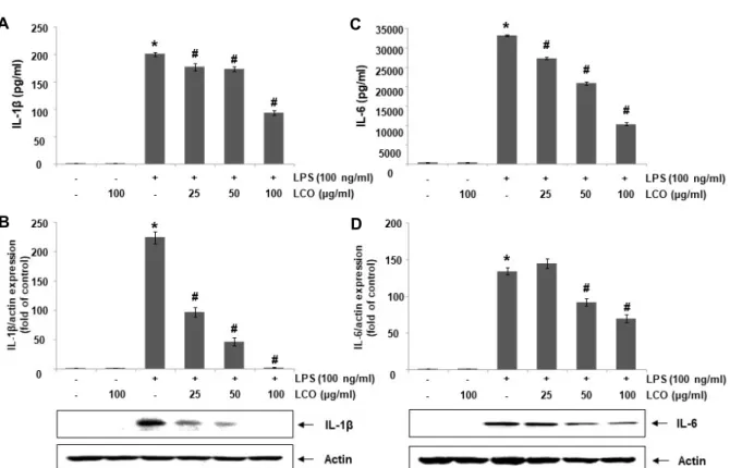 Fig.  7.  Inhibition  of  IL-1β and  IL-6  secretion  and  expression  by  leaf  extracts  of  C