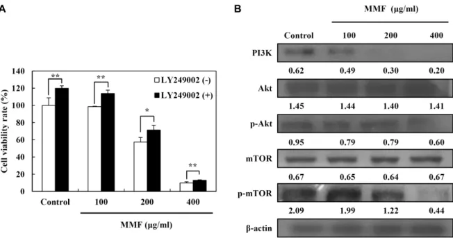 Fig.  6.  Effect  of  MMF  on  PI3K/Akt/mTOR  pathway  in  human  prostate  cancer  LNCaP  cells