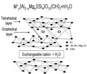 Figure 2. Montmorillonite (MMT)의 구조.