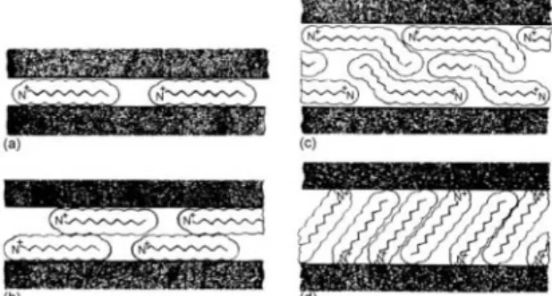 Figure 4. 2:1 phyllosilicate 판내에서 alkyl chain 들의 다양한 응집현상: (a) monolayer,(b) bilayers,  (c)  pseudotrimolecular  layers,  (d)  paraffin-type  monolayers[25]