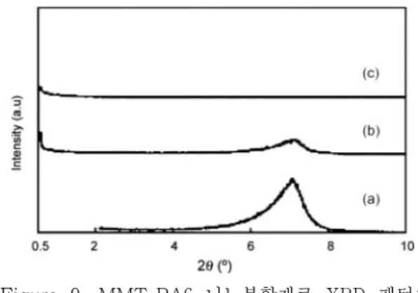 Figure 10. PA6-MMT 나노복합재료 TEM 사진.