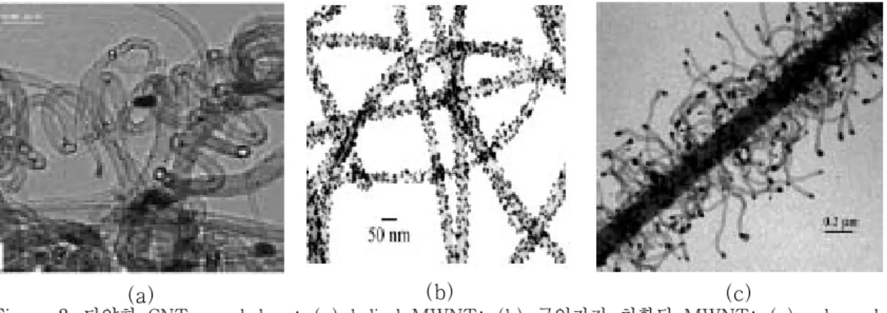 Figure 2. 다양한 CNT morphology: (a) helical MWNT; (b) 금입자가 치환된 MWNT; (c) polyacryl-  onitrile nanofiber 위에 성장된 MWNT