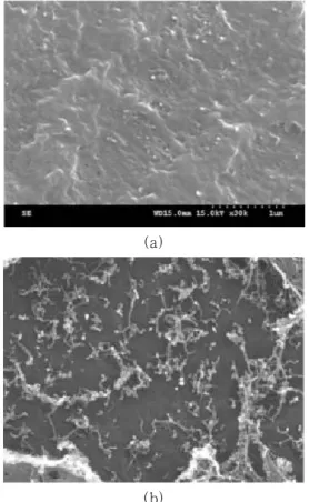 Figure 7. Polycarbonate/MWNT  복합체의  단면  SEM morphology: (a) etching 전; (b) etching 후.