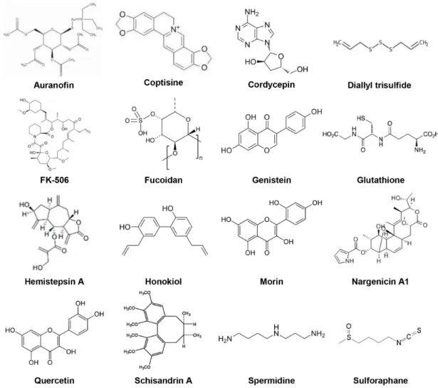 Fig.  1.  Structure  of  16  kinds  of  candidate  compounds.