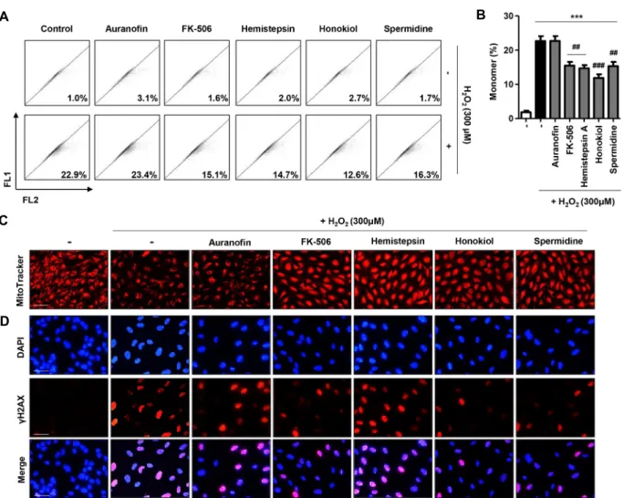 Fig.  6.  Effect  of  5  kinds  of  candidate  compounds  on  mitochondrial  and  DNA  damages  in  H 2 O 2 -stimulated  ARPE-19  cells
