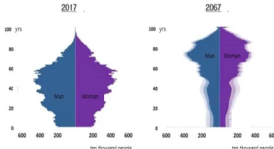 Fig.  4.  Age  pyramid  of  population(Korea) 